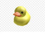 Ducky group!!!