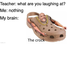 THE ROCK