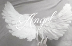 Angels.l