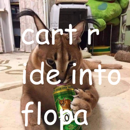 cart ride into floppa