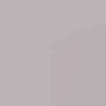 LLL*