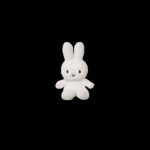 - blackpink fan group -
