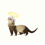 BrightDanny