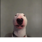 Walter gang e