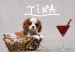 ~Team Chien~