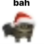 Me_kitt