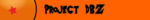 Project DBZ Team