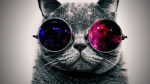 Baby Cats Games