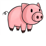 piggys for life
