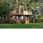 Treehouse Clan