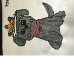 dog team!!!!!