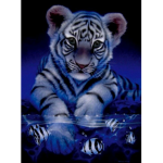 Tigers :/