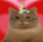 birthdaycats epic group!!!