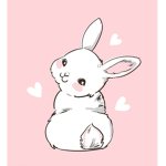 Cookieandbunnys