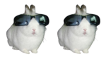 What's good and what's popping Logang