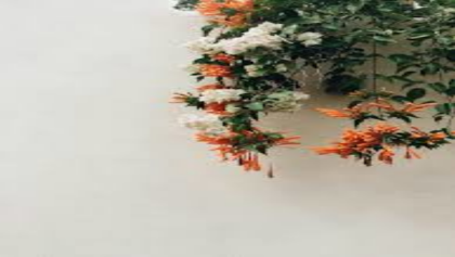 orange aesthetic Roblox decal