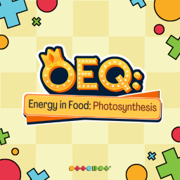 🌿OEQ: Energy in Food - Photosynthesis ☀️