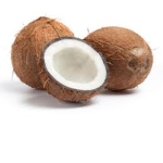Land of coconut