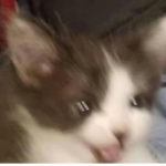 ter.