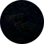 A Gun