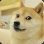 Doge’s Group of Doge