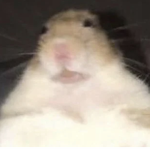 ～Le oof～