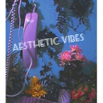 A̳esthetic Vibes