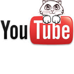 YouTube Industries's Interview Room