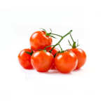 The Tomatoes!