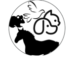 + Andelivee's Animals: Veterinarian Company +