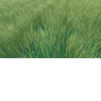 Touch grass simulator