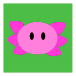 Axolotl Investments