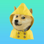 rambooo hoho