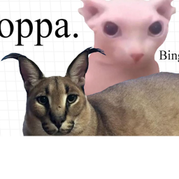 brookhaven but floppa