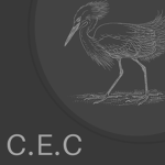 Cattle Egret Company
