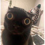 L0V1NGYOU <3