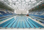 The Official Swim Team of ROBLOX