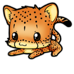 The jaguar's of beauty