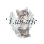 'lunatic