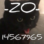 -ZO-