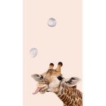 The Crazy Safari!