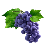 The Purple Grapes