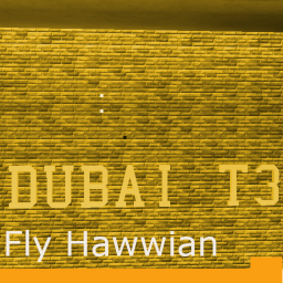 Dubai int Airport