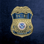 Icy Void Inc Police