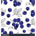 Blueberry clown
