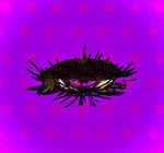 SLEEPY EYE