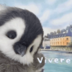 'vivere Group Thumbnail