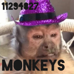 Monkeeyfam