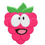 RaspberryGamer