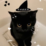 Black Cat's Group Group Thumbnail